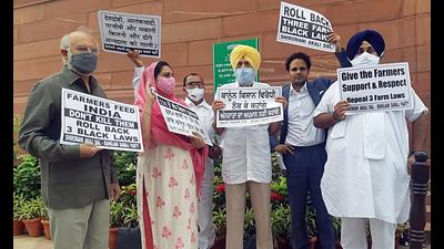 Shiromani Akali Dal president Sukhbir Singh Badal and other MPs protesting outside Parliament on Monday.