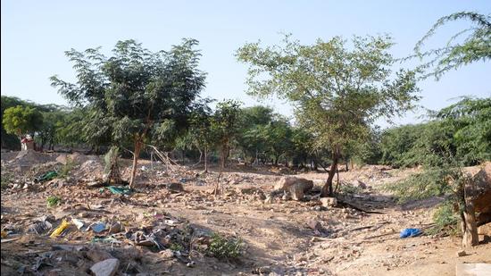 The site chosen for the city forest is a watershed of a disappeared seasonal stream that flowed into the Sahibi river, a tributary of the Yamuna, where widespread mining took place in the 1990s. The area was later encroached upon by locals, with shanties and a marble market dotting the landscape. (Vijay Dhasmana) The site chosen for the city forest is a watershed of a disappeared seasonal stream that flowed into the Sahibi river, a tributary of the Yamuna, where widespread mining took place in the 1990s. The area was later encroached upon by locals, with shanties and a marble market dotting the landscape. (Vijay Dhasmana)