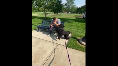 The image shows Rave the doggo with her favourite human. (Reddit)