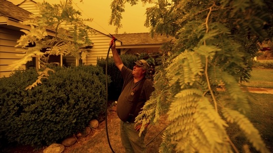 Jerry Whipple wets down his roof as the Dixie Fire approaches the Greenville community in Plumas County, California on July 23. Several villages were evacuated in the face of the advancing "Dixie Fire", which is suspected to have been caused by a tree falling on power cables, AFP reported.(Noah Berger / AP)