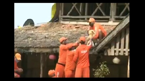 The image shows NDRF personnel rescuing the dog from the flood-hit Shiroli area in Maharashtra.(Twitter/@ANI) The image shows NDRF personnel rescuing the dog from the flood-hit Shiroli area in Maharashtra.(Twitter/@ANI)