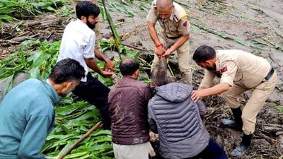 Kishtwar: Police, Indian Army and State Disaster Response Force (SDRF) during a search and rescue operation after a cloudburst at Honjar village in Kishtwar district on Wednesday. (PTI) Kishtwar: Police, Indian Army and State Disaster Response Force (SDRF) during a search and rescue operation after a cloudburst at Honjar village in Kishtwar district on Wednesday. (PTI)