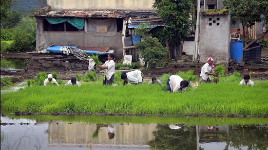 Recently, the State government merged 23 villages with the PMC, and in 2017, 11 fringe villages were also made part of the corporation. (Kalpesh Nukte/HT PHOTO)