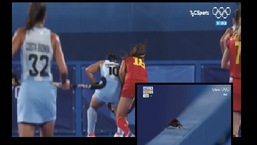 The image shows the cockroach that was in the frame during an Olympic hockey match.