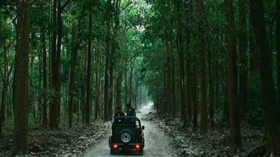 Jim Corbett Tiger Reserve, Uttarakhand: This reserve covers an area of 500 sq. km. It is also home to more than 500 bird species 7 species of amphibians, among other varieties of fauna.  (Instagram/@thetarzanway)