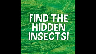 The video of 'find the hidden insects' shared by Bronx Zoo has prompted people to various comments. (Instagram/@bronxzoo)