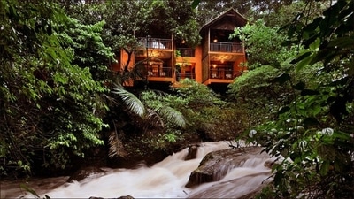 Vythiri in Kerala's Wayanad becomes first fully vaccinated tourism destination (Twitter/Veena_World)