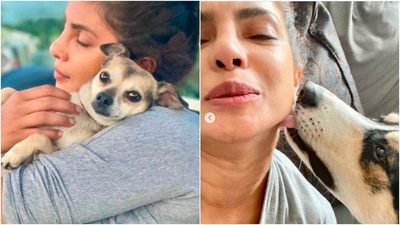 Priyanka spends some quality time with her pets. These adorable pictures are proof that the actor is a big-time animal lover. (Instagram/@priyankachopra)