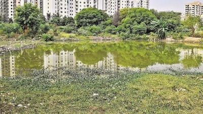Eighty-nine rural villages in 2017 and another 79 such villages last year were declared urbanised for the implementation of the land pooling policy. (Parveen Kumar/HT Photo) Eighty-nine rural villages in 2017 and another 79 such villages last year were declared urbanised for the implementation of the land pooling policy. (Parveen Kumar/HT Photo)
