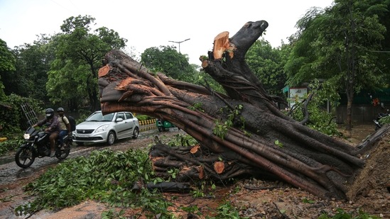 Commuters pass by a tree that was uprooted after heavy rain, at Ramakrishna Ashram Marg in New Delhi on July 28. Along with incidents of trees being uprooted, instances of vehicle breakdowns and road cave-ins were also reported from some areas.(Sanchit Khanna / HT Photo)