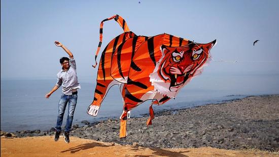 Representational image. (REUTERS File) Representational image. (REUTERS File)