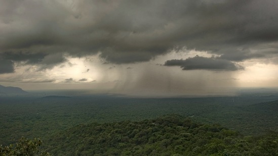 Kalyan Varma, 40, a Bengaluru-based wildlife photographer, has been documenting the monsoon in India for almost a decade. Varma worked on the 2014 BBC documentary Wonders of the Monsoon, racing ahead of the massive rain clouds as they made their way across the subcontinent. He travelled from Kovalam in Kerala, where the south-west monsoon first hits, to Rajasthan, always arriving a day or two in advance of the rains, so he could capture their arrival.(Photo by Kalyan Varma)