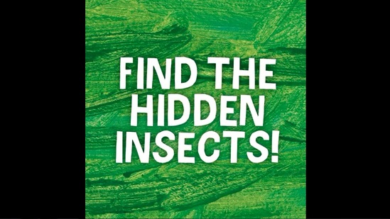 The video of 'find the hidden insects' shared by Bronx Zoo has prompted people to various comments.(Instagram/@bronxzoo)