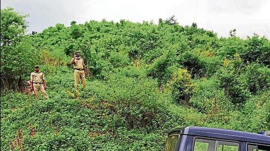 Station officer (Jugail police station) Arvind Mishra on a road in Chaura area of Sonbhadra district, trying to catch the cell phone network to speak to his seniors. The Chaura area is about 12 km from Jugail police station, which lacks cell phone towers in the vicinity. (HT Photo) Station officer (Jugail police station) Arvind Mishra on a road in Chaura area of Sonbhadra district, trying to catch the cell phone network to speak to his seniors. The Chaura area is about 12 km from Jugail police station, which lacks cell phone towers in the vicinity. (HT Photo)