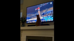 The image shows the cat looking at a Tv screen.