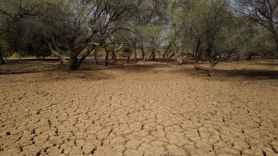 Dry earth is pictured in a field that is part of the Great Green Wall of the Sahara and the Sahel, on the outskirts of Walalde department, in Senegal on July 11. The project marks a new, more local approach to what is known as the Green Wall initiative, launched in 2007, that aims to slow desertification across Africa's Sahel region, the arid belt south of the Sahara Desert, by planting an 8,000-km line of trees from Senegal to Djibouti, Reuters reported. (Zohra Bensemra / REUTERS) Dry earth is pictured in a field that is part of the Great Green Wall of the Sahara and the Sahel, on the outskirts of Walalde department, in Senegal on July 11. The project marks a new, more local approach to what is known as the Green Wall initiative, launched in 2007, that aims to slow desertification across Africa's Sahel region, the arid belt south of the Sahara Desert, by planting an 8,000-km line of trees from Senegal to Djibouti, Reuters reported. (Zohra Bensemra / REUTERS)