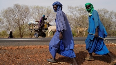 Members of a nomadic tribe travel in the Barkedji-Dodji Forest, part of the Great Green Wall of the Sahara and the Sahel in Linguere department, Louga region, Senegal, on July 14. "The day people realise the full potential of the Great Green Wall, they will stop these dangerous migration routes where you can lose your life at sea," Kamara told Reuters. "It's better to stay, work the soil, cultivate and see what you can earn." (Zohra Bensemra / REUTERS) Members of a nomadic tribe travel in the Barkedji-Dodji Forest, part of the Great Green Wall of the Sahara and the Sahel in Linguere department, Louga region, Senegal, on July 14. "The day people realise the full potential of the Great Green Wall, they will stop these dangerous migration routes where you can lose your life at sea," Kamara told Reuters. "It's better to stay, work the soil, cultivate and see what you can earn." (Zohra Bensemra / REUTERS)
