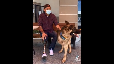 The image shows the dog with its new human. (Reddit/@totallystefanal)