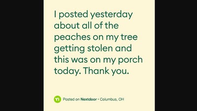 One of the images shared along with the post about stolen peaches. (Instagram/@nextdoor)