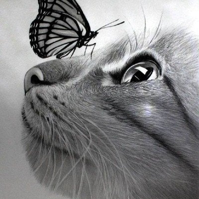 The sketching and pencil shading workshop is open to all above the age of 10. (HT PHOTO) The sketching and pencil shading workshop is open to all above the age of 10. (HT PHOTO)
