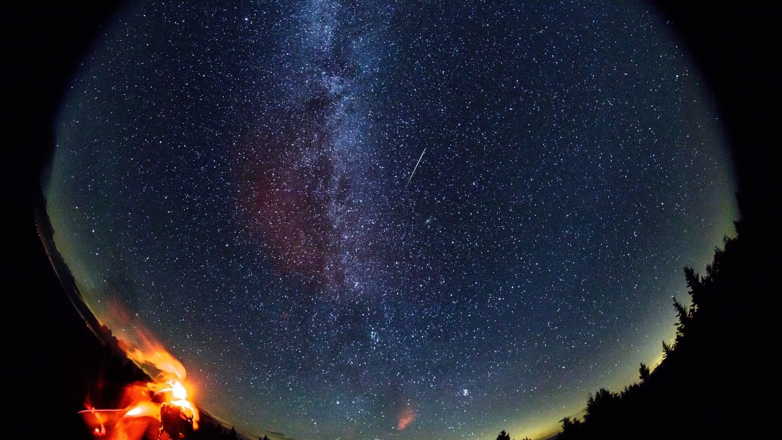 Perseids meteor shower to light up night skies in August. When and how