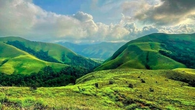 Western Ghats: Experience the taste of the Amazon Forest in India in the Western Ghats. (Instagram/@westernghat)