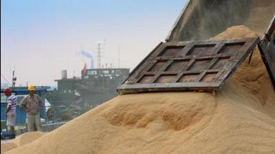 The prices of soybean, which is used as feed in the poultry industry, has skyrocketed. (REUTERS) The prices of soybean, which is used as feed in the poultry industry, has skyrocketed. (REUTERS)