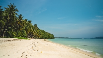 Andaman and Nicobar Islands: You do not have to spend errands travelling all the way to Thailand's Phi Phi Islands. You can get the same experience at Andaman and Nicobar Islands. (Unsplash) Andaman and Nicobar Islands: You do not have to spend errands travelling all the way to Thailand's Phi Phi Islands. You can get the same experience at Andaman and Nicobar Islands. (Unsplash)