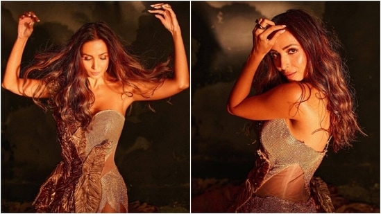 Malaika Arora's Throwback Picture Boasting A Perfectly Sculpted Torso Is  Leaving Us In Awe Of Her