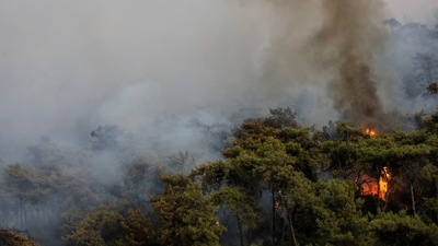The Russian news agency Sputnik said more than 100 Russian tourists had been evacuated from Bodrum and relocated to new hotels.  (REUTERS/Umit Bektas)