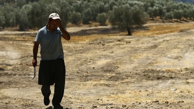 A man walks away from a wildfire near Manavgat, Turkey. Fires across Turkey since Wednesday have burned down forests and some settlements, encroaching on villages and tourist destinations and forcing people to evacuate. (REUTERS/Kaan Soyturk)