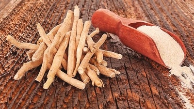 The participants will be given two 500 mg Ashwagandha tablets daily. (Shutterstock) The participants will be given two 500 mg Ashwagandha tablets daily. (Shutterstock)