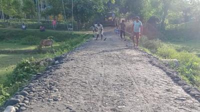Workers busy repairing the road to Lovlina Borgohain’s house at Baromukhia village in Assam. (HT Photo) Workers busy repairing the road to Lovlina Borgohain’s house at Baromukhia village in Assam. (HT Photo)