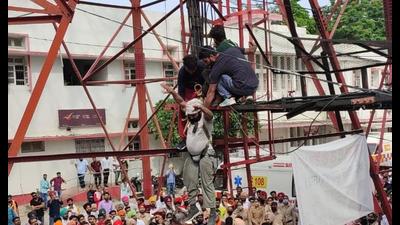 Unemployed teacher alights from mobile tower after 135 days in Patiala