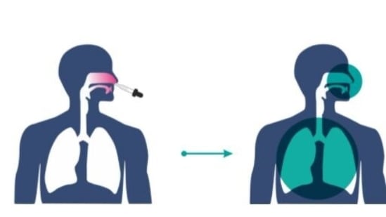 Nasal vaccines against Covid-19 are likely to prevent the virus from entering through the nose, (Photo: Bharat Biotech)