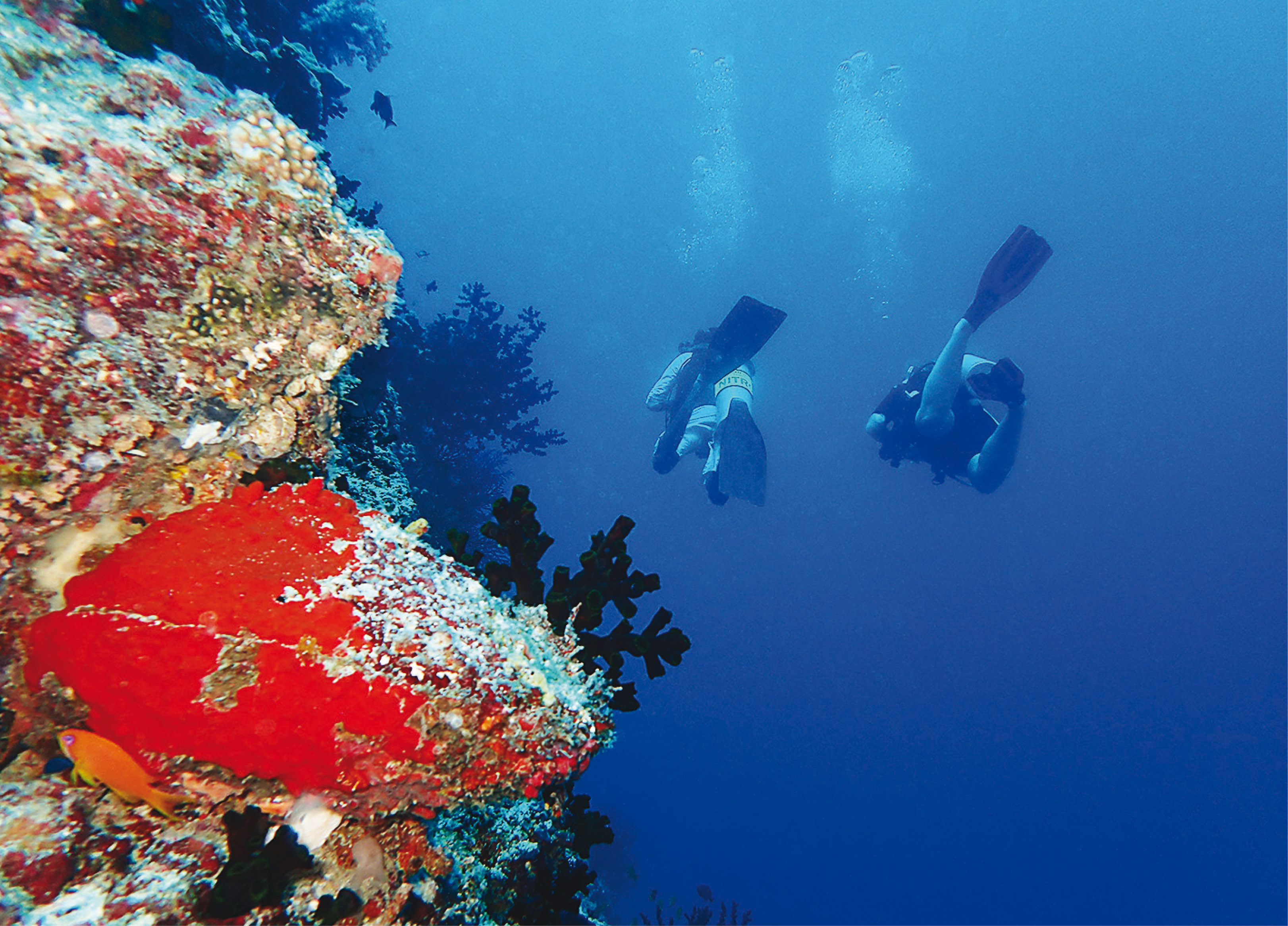 Enjoy the natural beauty of the Maldives instead of risking health by partying