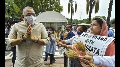 Shiromani Akali Dal MP Harsimrat Kaur Badal handing over wheat stalks to Union minister Giriraj Singh during the monsoon session of Parliament in New Delhi, Monday. (PTI)