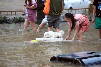 A girl helps her pet dog through flood waters after record downpours receded in Zhengzhou city in central China's Henan province. (PTI) A girl helps her pet dog through flood waters after record downpours receded in Zhengzhou city in central China's Henan province. (PTI)