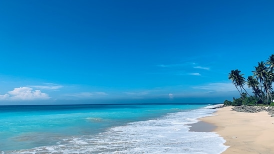 Sri Lanka: This is a must-visit place for travellers from India since it is very near and has something for both mountain and beach lovers.(Unsplash)