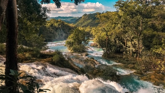 Mexico: Mexico has a lot of beach resorts where you can spend some quality time with your loved ones. But if you are on a tight budget then you can explore Chiapas state. It is filled with jungles, falls and epic ruins that will make you fall in love with the place.(Unsplash)