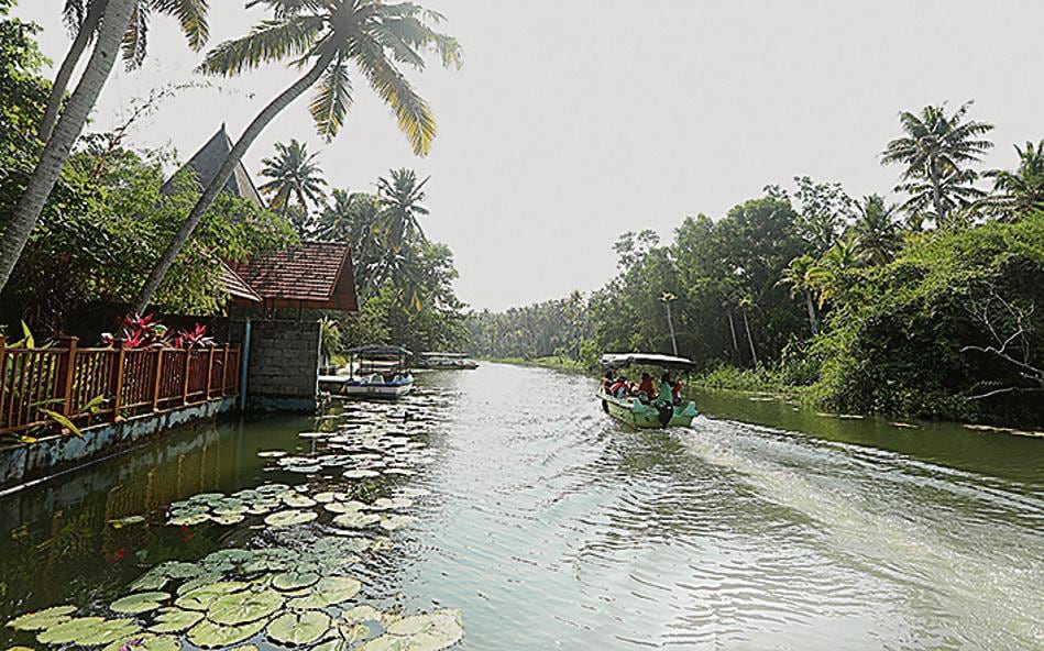 Kerala backwaters is a network of scenic water bodies bordered by paddy fields and coconut trees Kerala backwaters is a network of scenic water bodies bordered by paddy fields and coconut trees