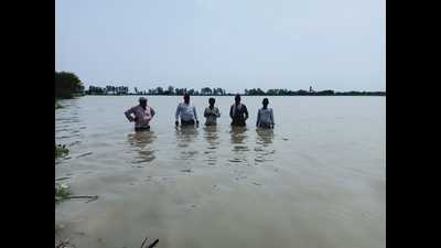 Farmers standing in their inundated fields in Rohtak’s Girawar village on Tuesday. (HT Photo)