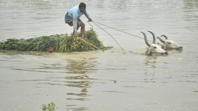 "There is fear that the rising level of Ganga and other rivers might pose a threat to Patna. It will be very difficult to control the situation," said a local. (PTI file photo)