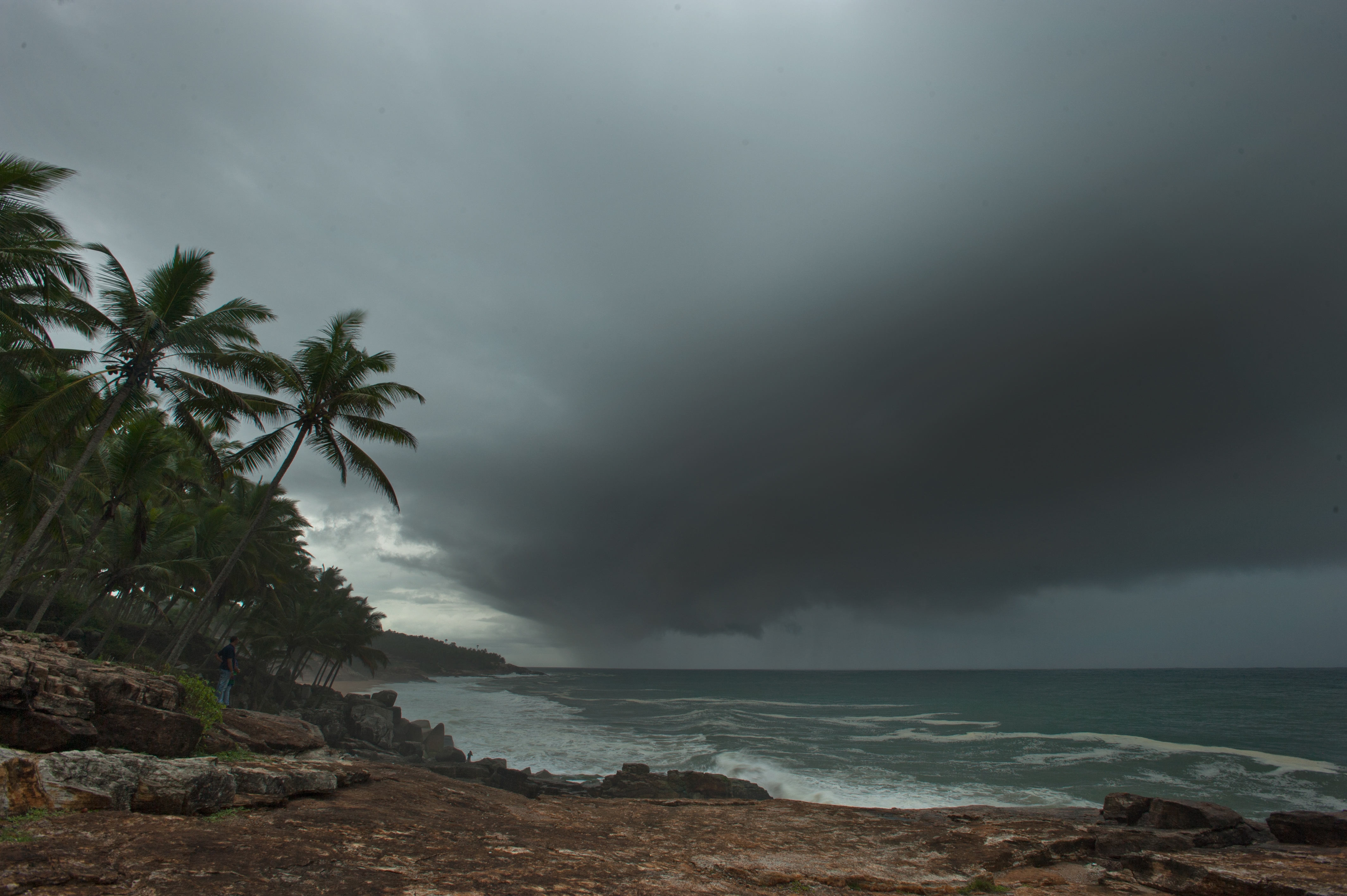 It’s important to document how the monsoon cycle is shifting, Varma says, “to understand how all living beings have adapted to largely predictable weather and how any change in this pattern causes chaos to their lifecycles.” (Kalyan Varma) It’s important to document how the monsoon cycle is shifting, Varma says, “to understand how all living beings have adapted to largely predictable weather and how any change in this pattern causes chaos to their lifecycles.” (Kalyan Varma)