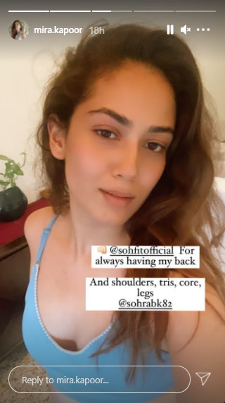 Screenshot of Mira Rajput's Instagram story.