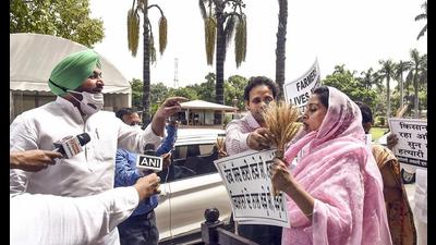 SAD MP Harsimrat Kaur Badal entre into a verbal spat with Congress’ Ravneet Singh Bittu (L) over farm law soutside the Parliament in New Delhi on Wednesday. (PTI) SAD MP Harsimrat Kaur Badal entre into a verbal spat with Congress’ Ravneet Singh Bittu (L) over farm law soutside the Parliament in New Delhi on Wednesday. (PTI)