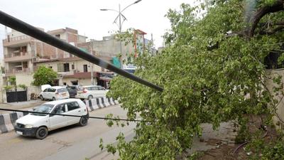 Experts said that dead trees can fall during stormy weather, as observed during a recent rain spell, and lead to accidents. (Vipin Kumar /HT PHOTO) Experts said that dead trees can fall during stormy weather, as observed during a recent rain spell, and lead to accidents. (Vipin Kumar /HT PHOTO)