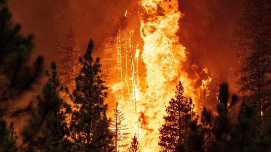 The Dixie Fire rages in Plumas county, California. (Photo by JOSH EDELSON / AFP)(AFP)