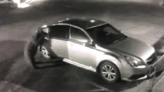 The image shows the bear opening the car door.(Facebook/@Sierra County Sheriff's Office) The image shows the bear opening the car door.(Facebook/@Sierra County Sheriff's Office)
