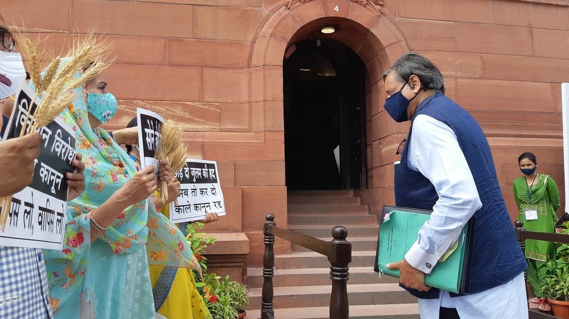 Harsimrat Kaur Badal with other MPs distributing wheat stalks outside Parliament. (Source: Twitter)